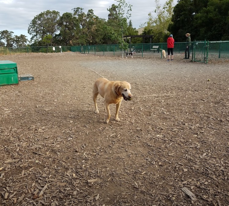 clayton-dog-park-photo